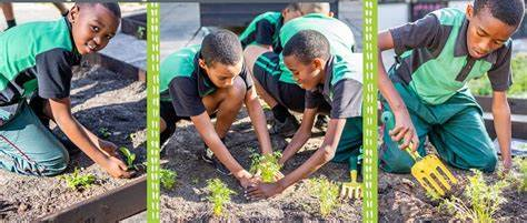 INTRODUCING SCHOOL GARDENS TO SCHOOLS IN THE F.C.T